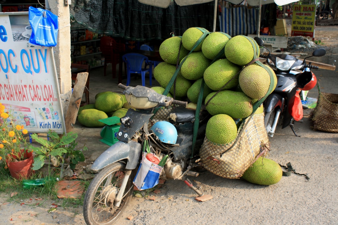 Mũi Né là một trong những bãi biển đẹp nhất Việt Nam.