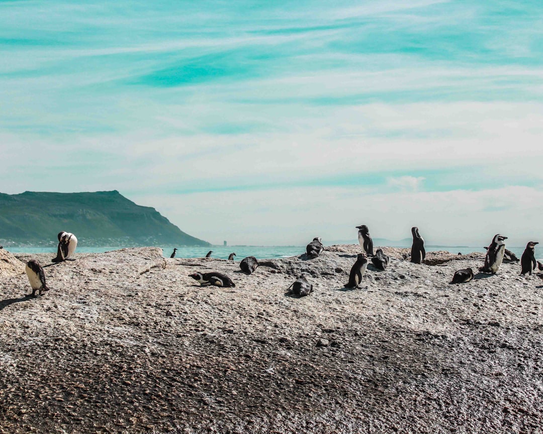 Coastal ecosystems are facing significant changes due to a variety of factors including climate change, sea level rise, and human activities.