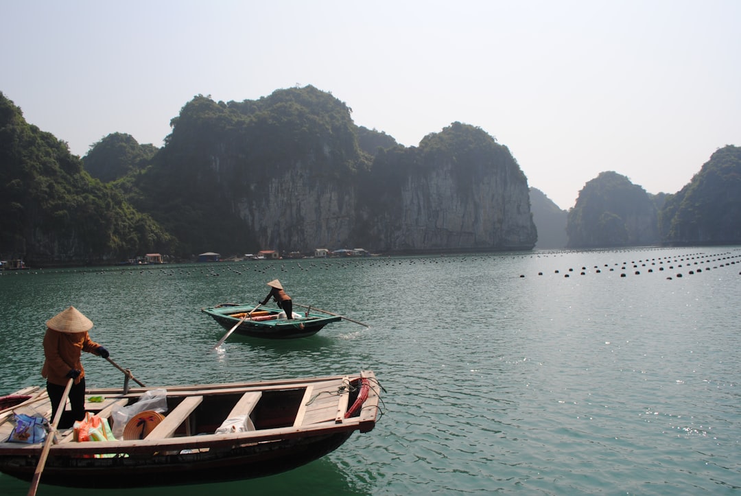 Đông Bắc Việt Nam là một khu vực có nhiều đặc điểm địa hình và khí hậu đa dạng.