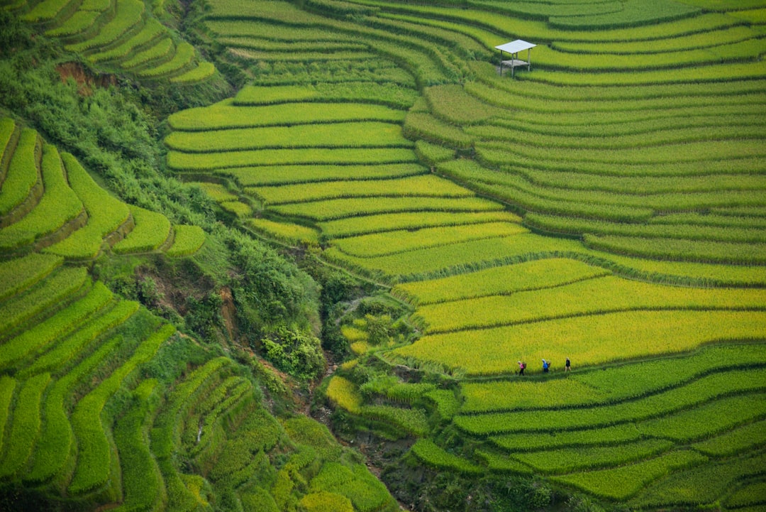 Biển Sầm Sơn nằm ở tỉnh Thanh Hoá, cách Hà Nội khoảng 170km, là một trong những điểm du lịch biển nổi tiếng và được yêu thích của Việt Nam.