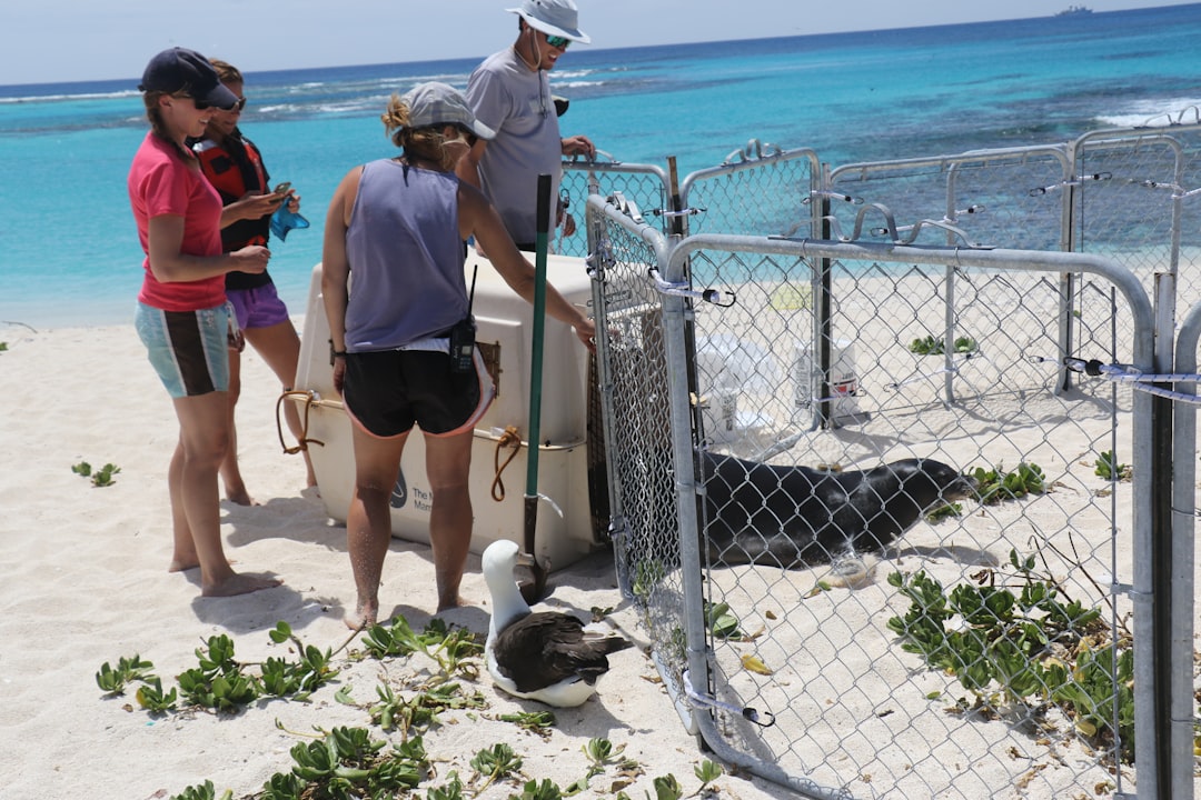 Introduction: Explanation of climate change and its effects on coastal regions