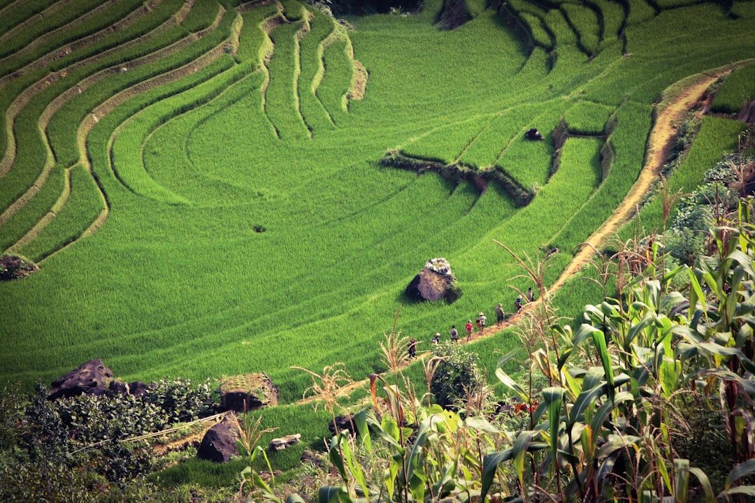 Vịnh Hạ Long, Việt Nam - được UNESCO công nhận là di sản thiên nhiên thế giới với hàng nghìn hòn đảo kỳ vĩ.