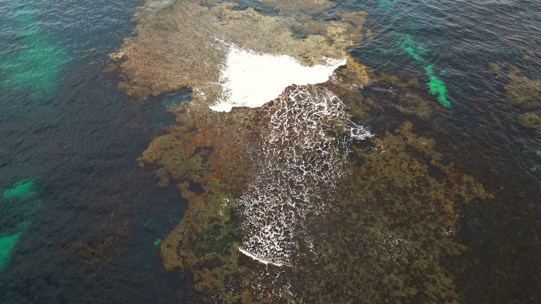 Great Barrier Reef - một trong những điểm đến không thể bỏ qua đối với các tín đồ lặn biển.